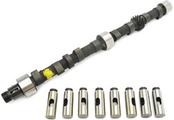 Camshaft kit including lifters 