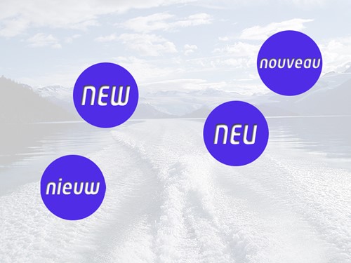 Uitlaatklep voor Volvo Penta 20513285